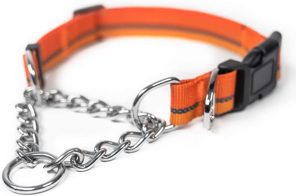 Martingale Collar with Buckle | Training Dog Collar, Limited Cinch Chain Pet Gear for No Pull Dog Walking. Martingale Dog Collars for Large Dogs, Medium Breeds and Small Pets